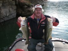 image hogs 005.JPG